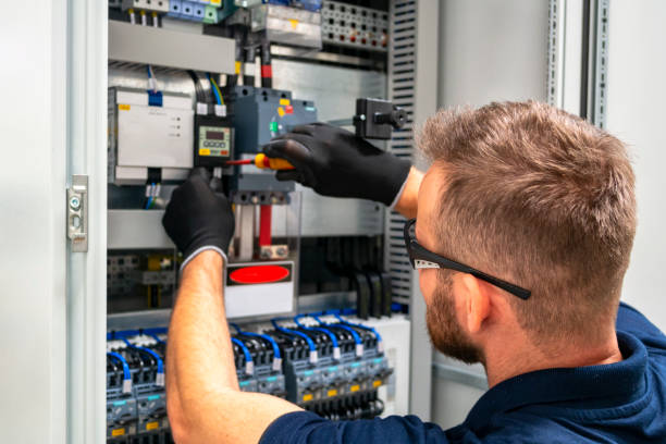 Best Electric Panel Repair  in Woodbine, IA