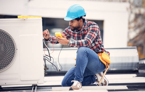 Best Affordable Electrician  in Woodbine, IA